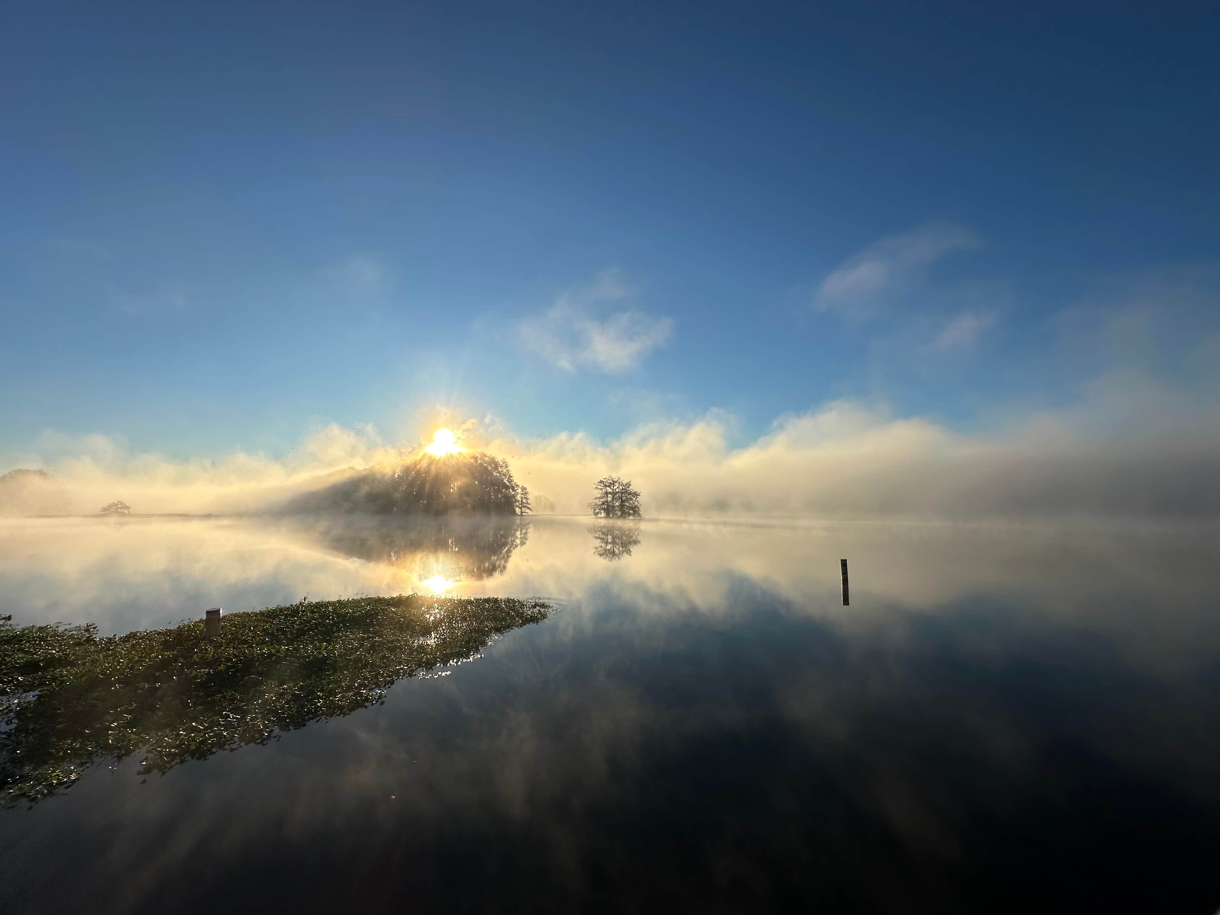 Camper-submitted photo at High Bluff Campground — Joe Budd WMA and Lake Talquin State Forest near Wacissa, FL