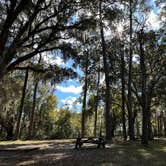 Review photo of High Bluff - Joe Budd WMA and Lake Talquin State Forest by Sebastian L., November 25, 2024