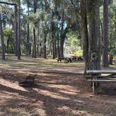 Review photo of High Bluff - Joe Budd WMA and Lake Talquin State Forest by Sebastian L., November 25, 2024