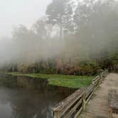 Review photo of High Bluff - Joe Budd WMA and Lake Talquin State Forest by Sebastian L., November 25, 2024