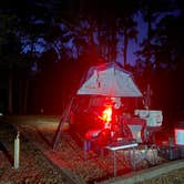 Review photo of High Bluff Campground — Joe Budd WMA and Lake Talquin State Forest by jason F., March 18, 2026