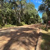 Review photo of High Bluff - Joe Budd WMA and Lake Talquin State Forest by Sebastian L., November 25, 2024