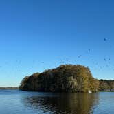 Review photo of High Bluff - Joe Budd WMA and Lake Talquin State Forest by Sebastian L., November 25, 2024