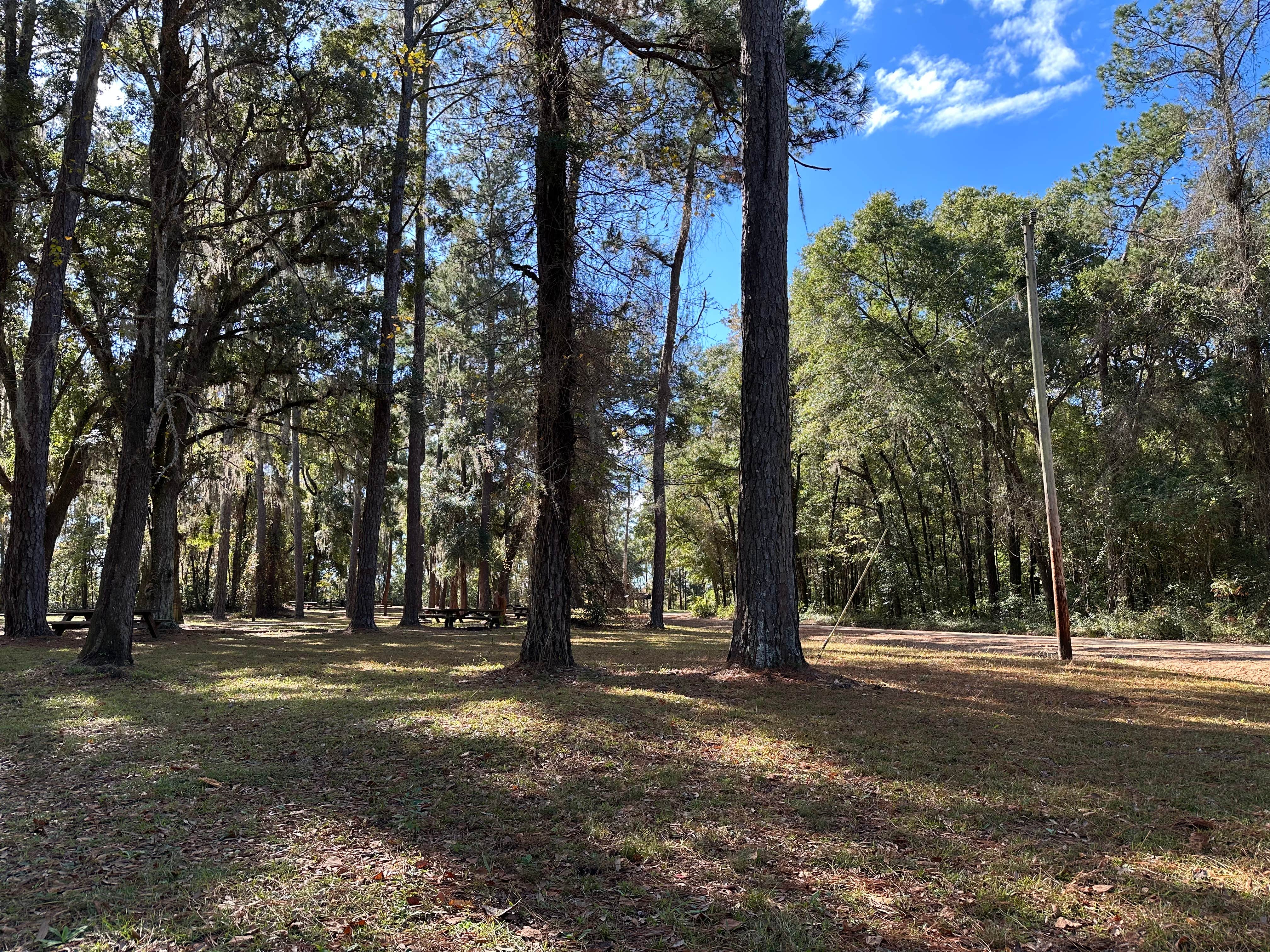 Camper-submitted photo at High Bluff Campground — Joe Budd WMA and Lake Talquin State Forest near Wacissa, FL
