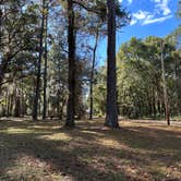 Review photo of High Bluff - Joe Budd WMA and Lake Talquin State Forest by Sebastian L., November 25, 2024