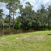 Review photo of Lithia Springs Conservation Park by Cat A., August 11, 2024