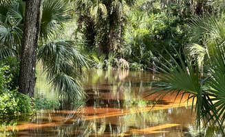Cat A.'s photo of camping with pets at Lithia Springs Conservation Park near Ona, FL