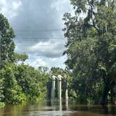 Review photo of Lithia Springs Conservation Park by Cat A., August 11, 2024