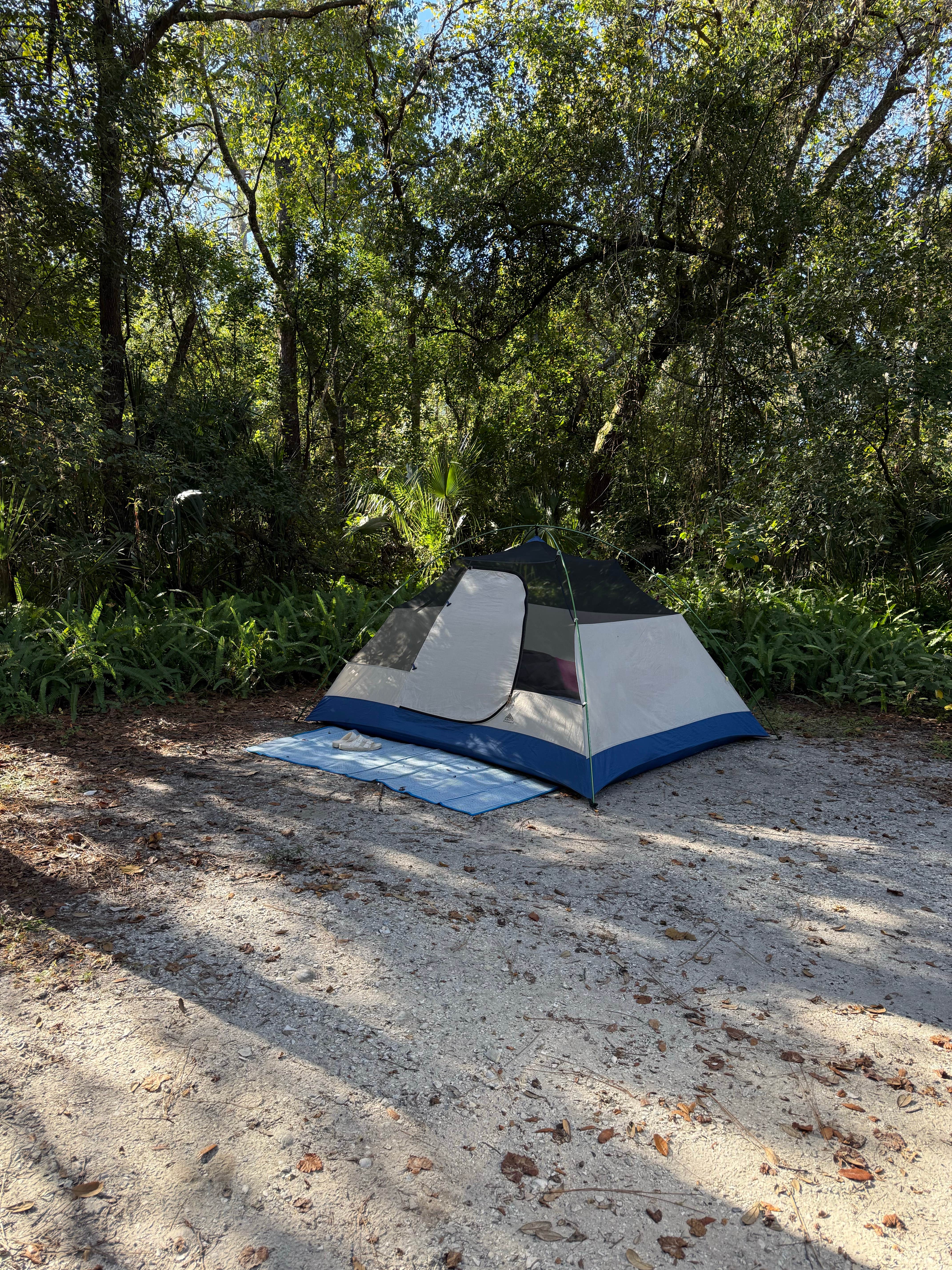 Camper-submitted photo at Lithia Springs near Plant City, FL