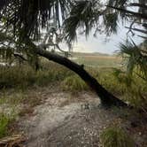 Review photo of Little Talbot Island State Park Campground by Greg M., March 10, 2026