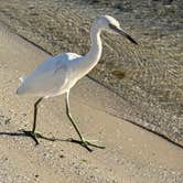 Review photo of Long Point Park Campground by Doreen G., February 10, 2026