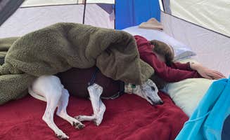 Michelle C.'s photo at Long Point Park Campground near Rockledge, FL