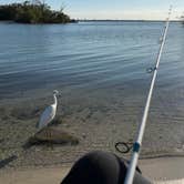 Review photo of Long Point Park Campground by Doreen G., February 10, 2026