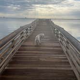 Review photo of Manatee Hammock Campground by Madison M., July 15, 2026