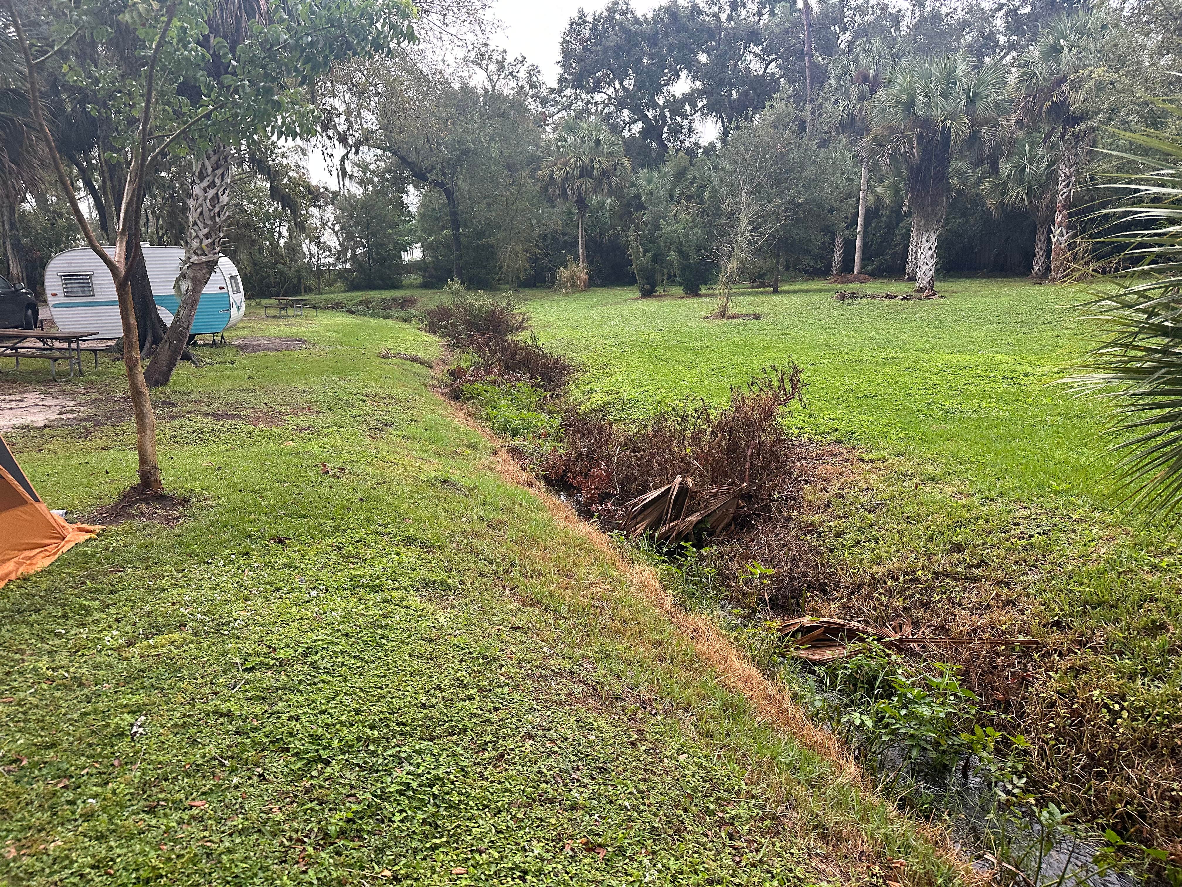 Nathan A.'s photo at Manatee Hammock Campground near Patrick AFB, FL