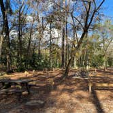 Review photo of Manatee Springs State Park Campground by Kat A., December 20, 2024