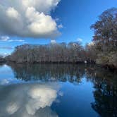 Review photo of Manatee Springs State Park Campground by Kat A., December 20, 2024