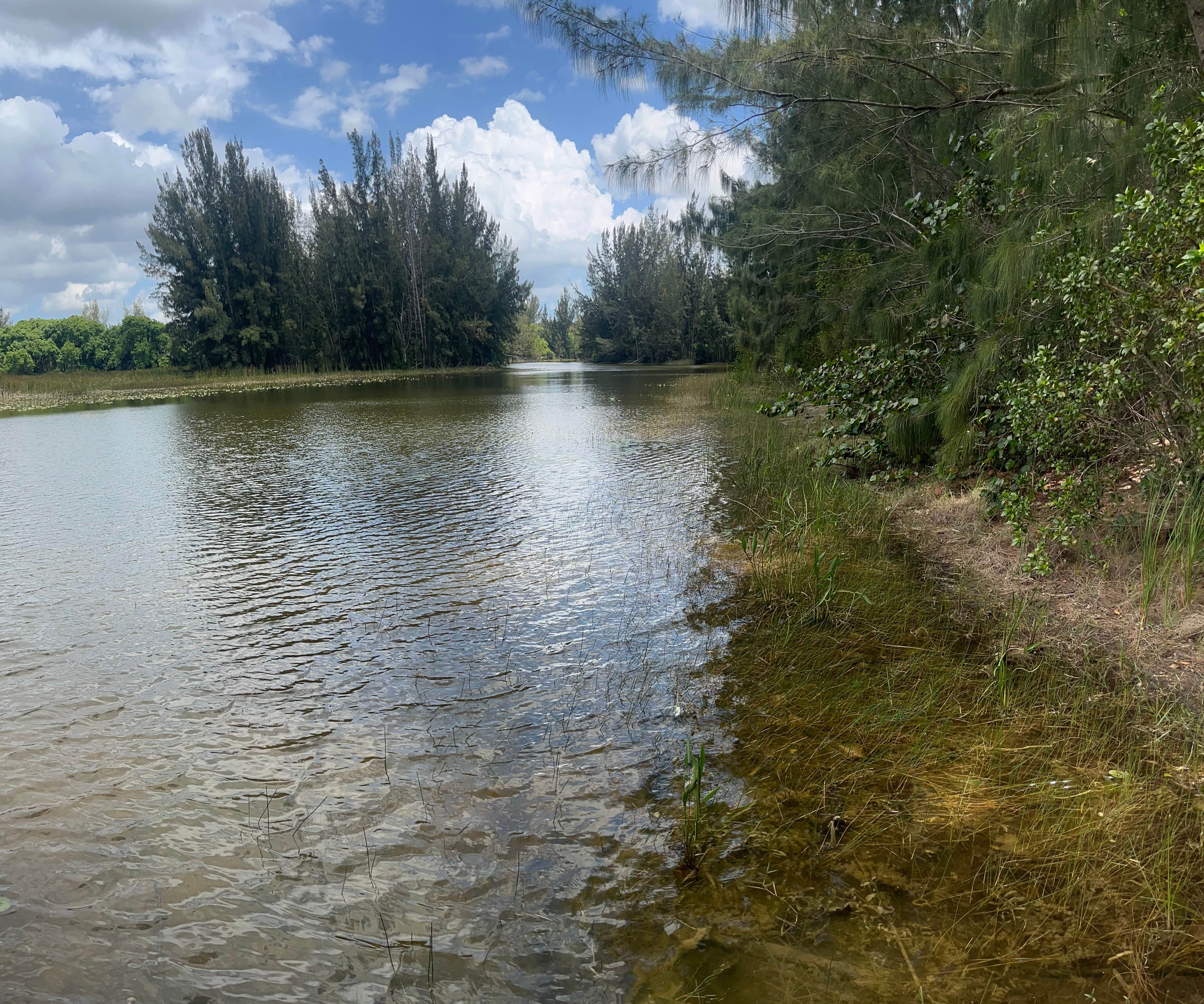 Camper-submitted photo at Markham Park Campground near Coral Springs, FL