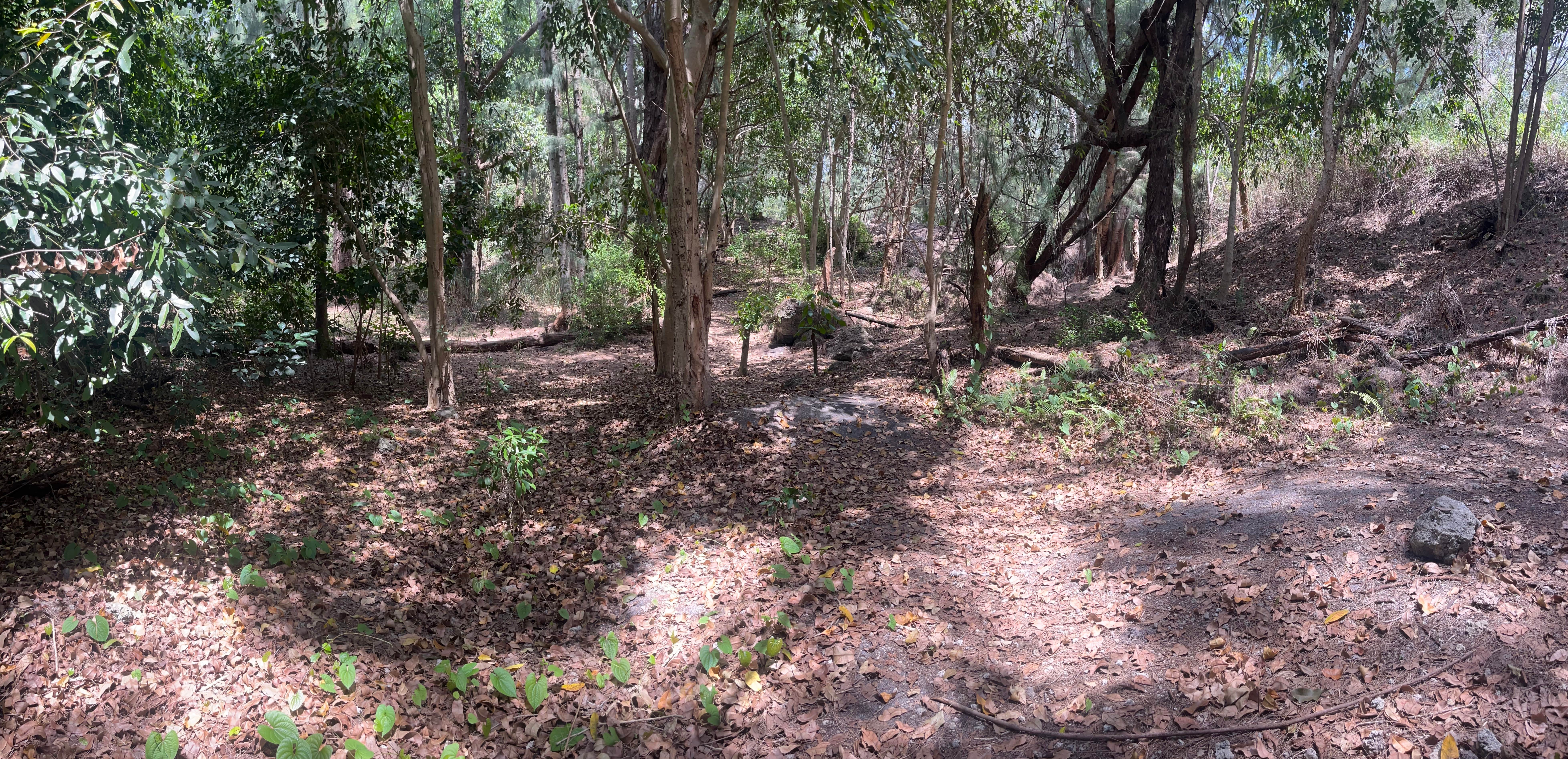 Camper-submitted photo at Markham Park Campground near Coral Springs, FL