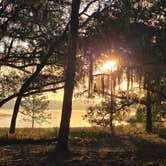 Review photo of Mike Roess Gold Head Branch State Park Campground & Cabins by Clean Slate D., August 1, 2025