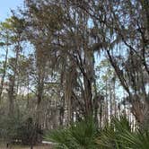 Review photo of Moss Park Campground by Doreen G., February 22, 2026