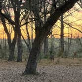 Review photo of Moss Park Campground by Doreen G., February 22, 2026