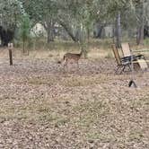 Review photo of Moss Park Campground by Doreen G., February 22, 2026