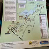 Review photo of Palmetto Ridge Campground — Myakka River State Park by Amanda W., April 25, 2025