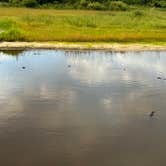 Review photo of Palmetto Ridge Campground — Myakka River State Park by Amanda W., April 25, 2025