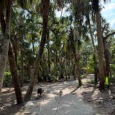 Review photo of Palmetto Ridge Campground — Myakka River State Park by Amanda W., April 25, 2025