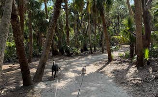 Amanda W.'s photo of camping with pets at Palmetto Ridge Campground — Myakka River State Park near Ona, FL