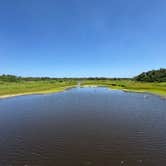 Review photo of Palmetto Ridge Campground — Myakka River State Park by Amanda W., April 25, 2025