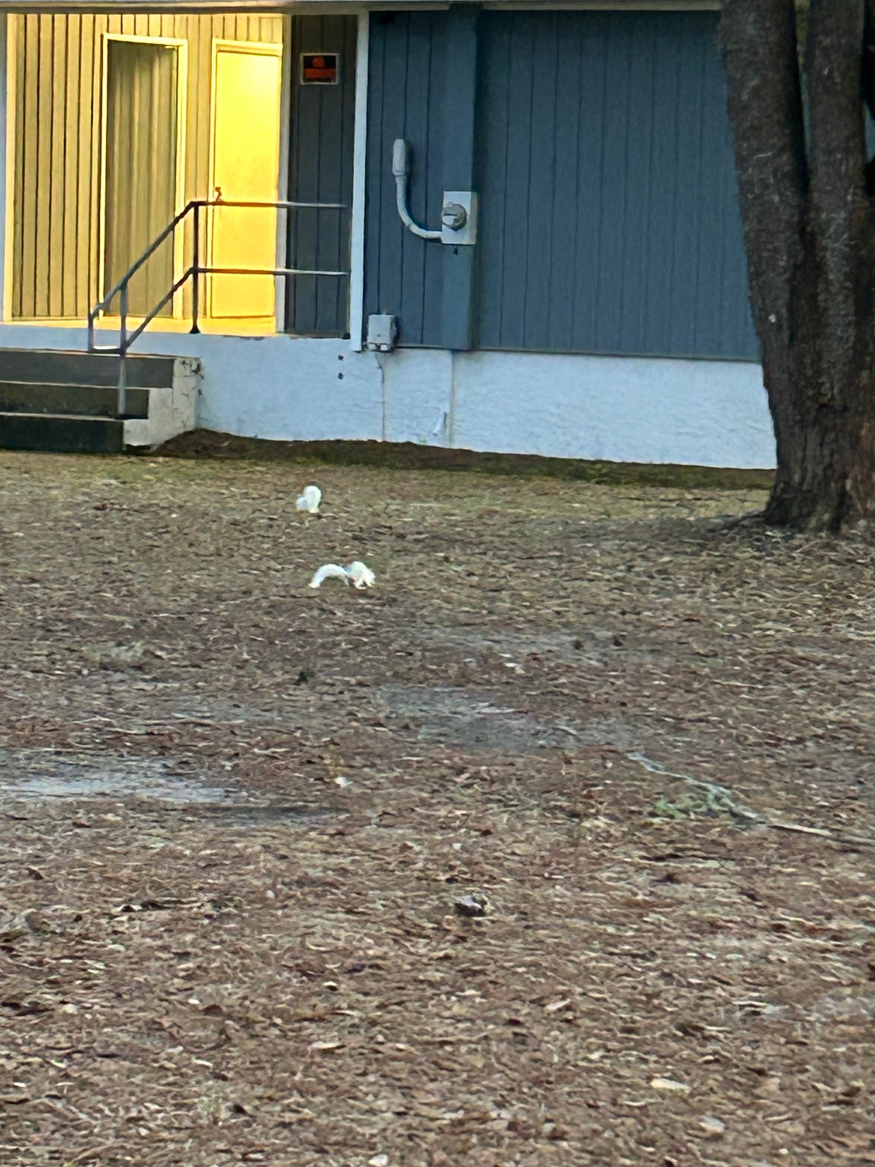 Camper-submitted photo at Myron B. Hodge City Park near Sopchoppy, FL