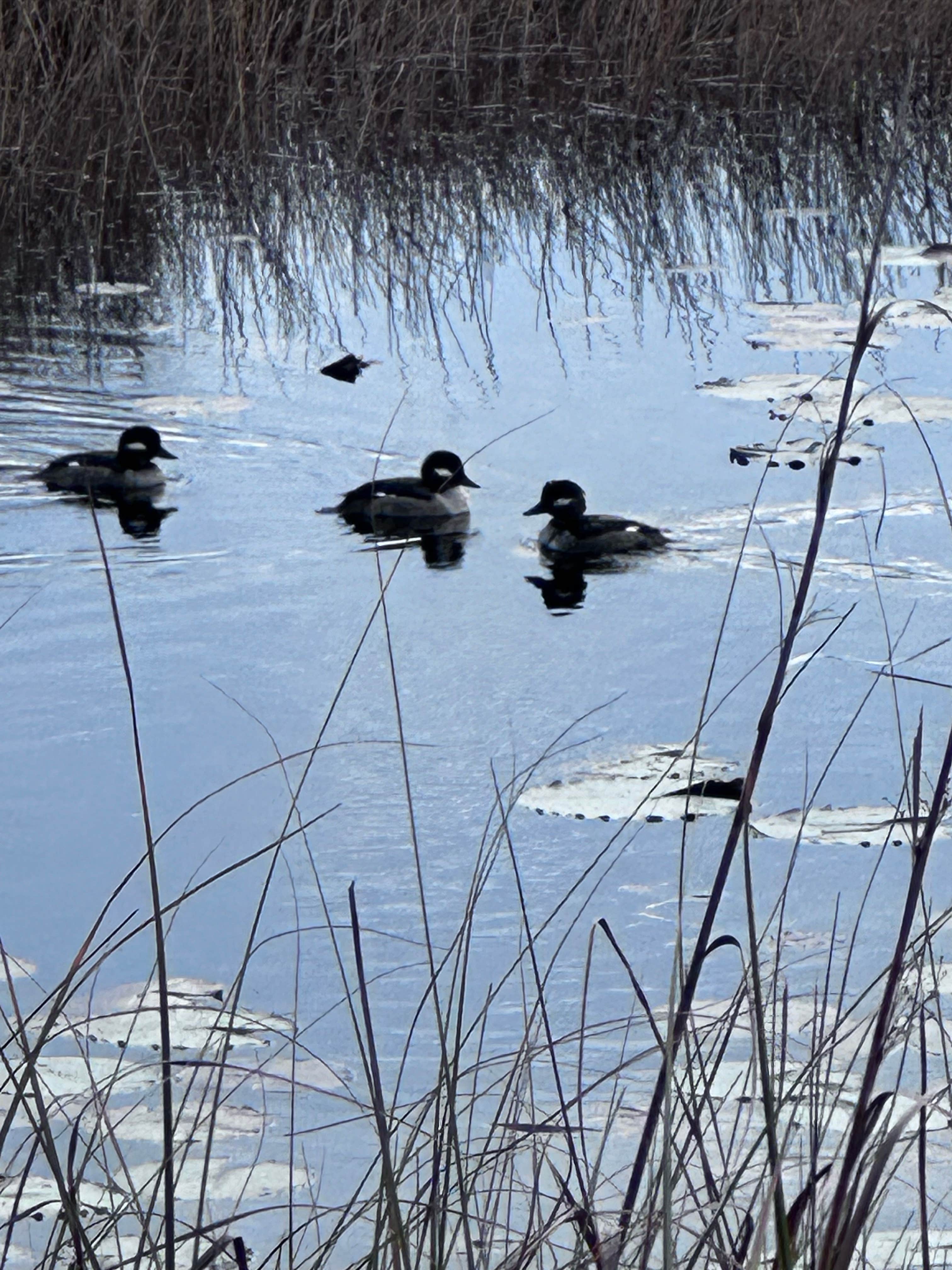 Camper submitted image from Newport Park Campground - 2