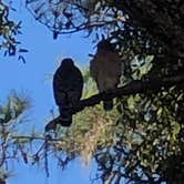 Review photo of Newport Park Campground by marshall N., February 5, 2026