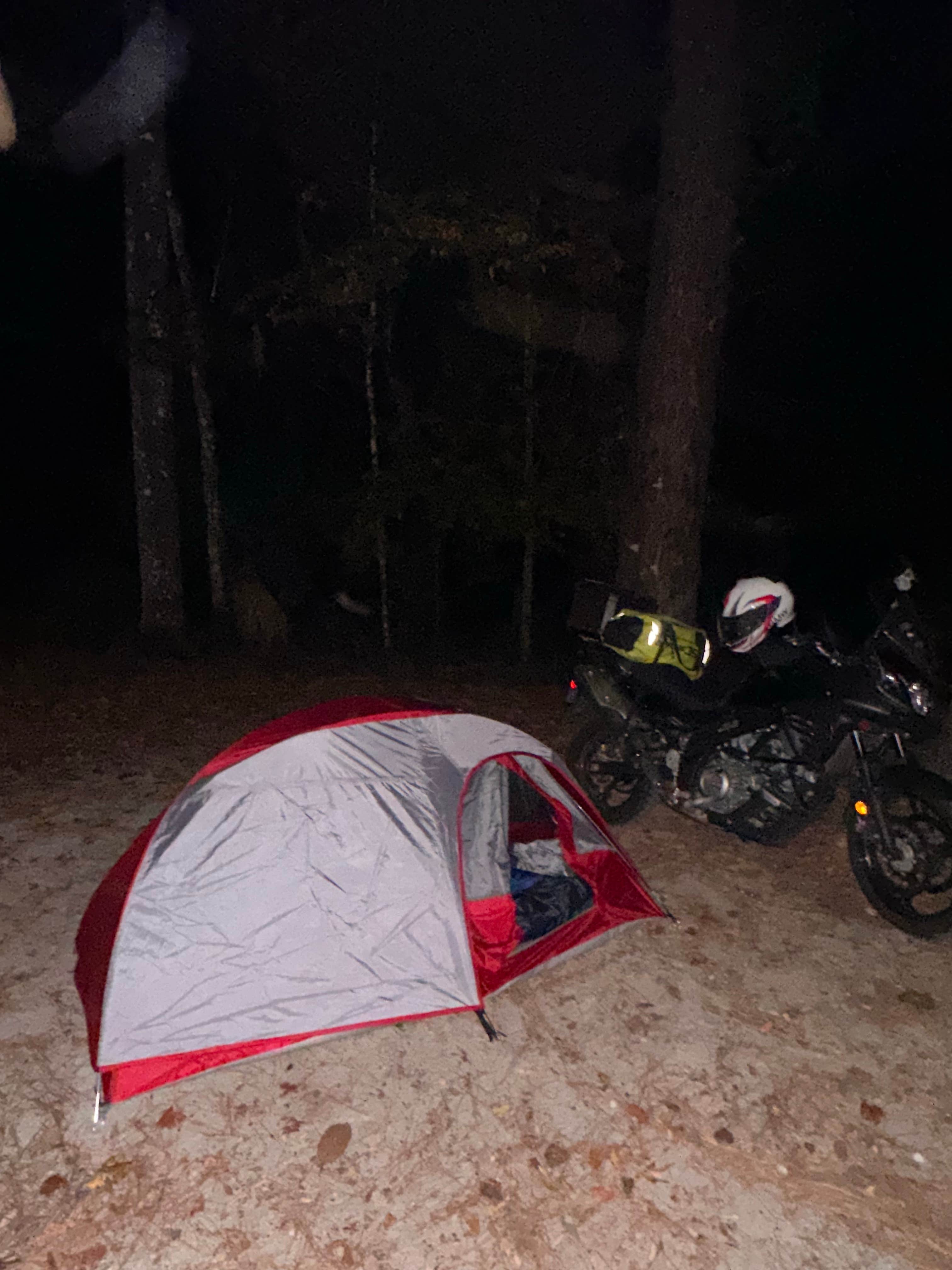 Camper-submitted photo at Newport Park Campground near Wacissa, FL