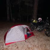 Review photo of Newport Park Campground by Rodrigo D., November 19, 2025