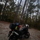 Review photo of Newport Park Campground by Rodrigo D., November 19, 2025