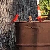 Review photo of Newport Park Campground by marshall N., February 5, 2026