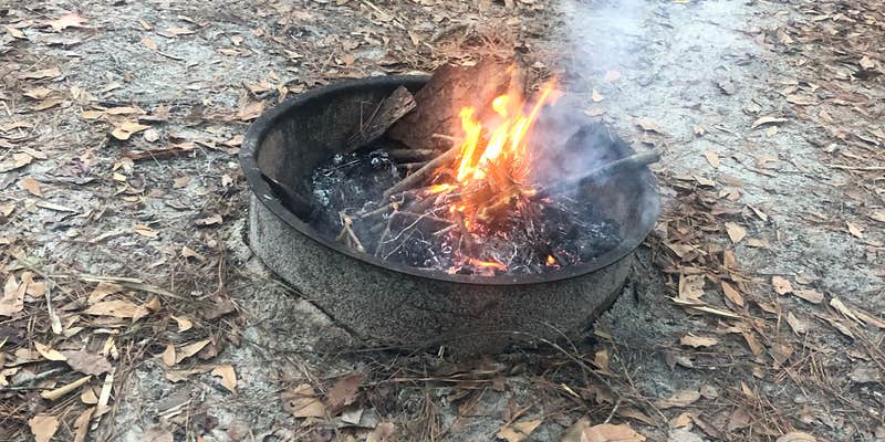 Camper submitted image from Newport Park Campground