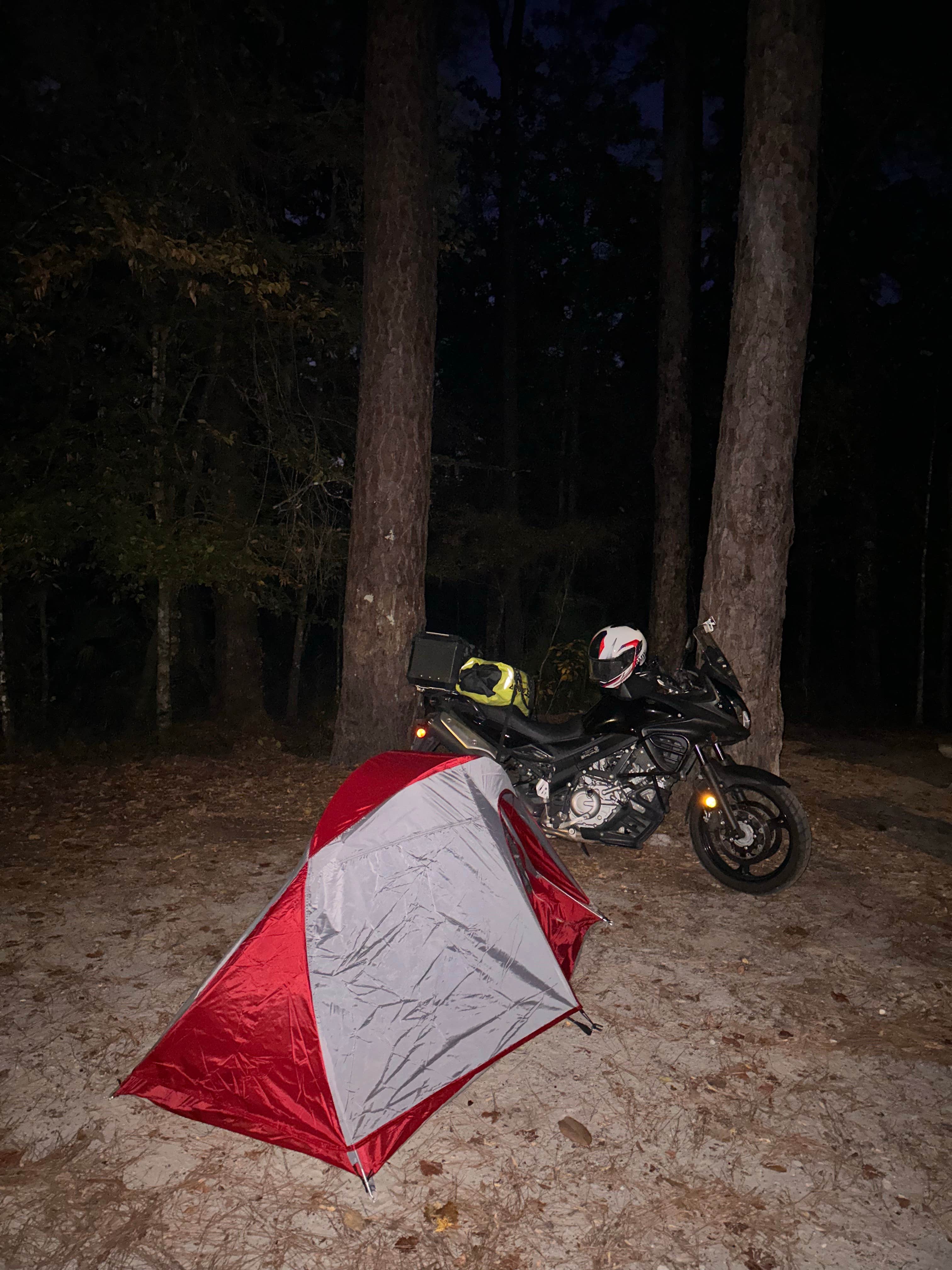 Camper-submitted photo at Newport Park Campground near Wacissa, FL