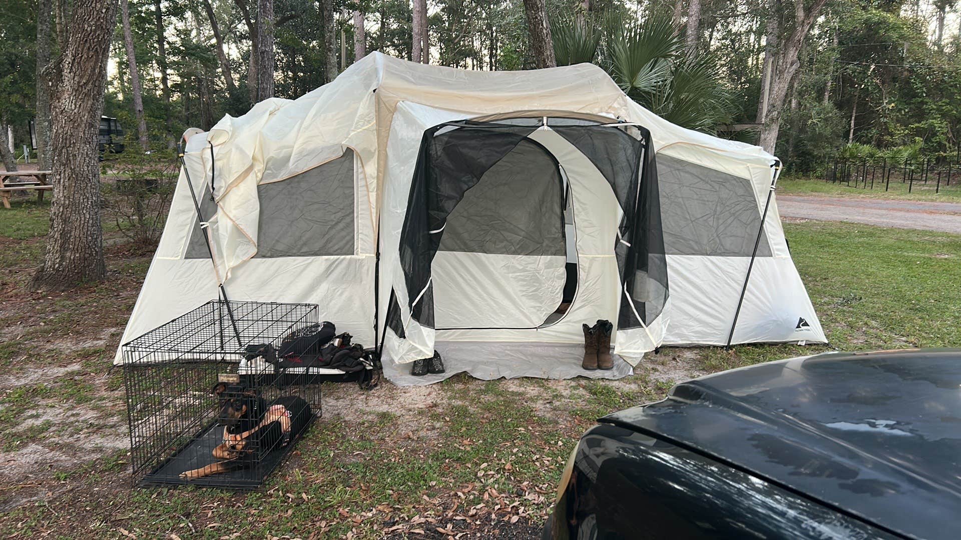 Camper-submitted photo at Newport Park Campground near Wacissa, FL