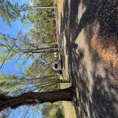 Review photo of Newport Park Campground by jason , March 18, 2026