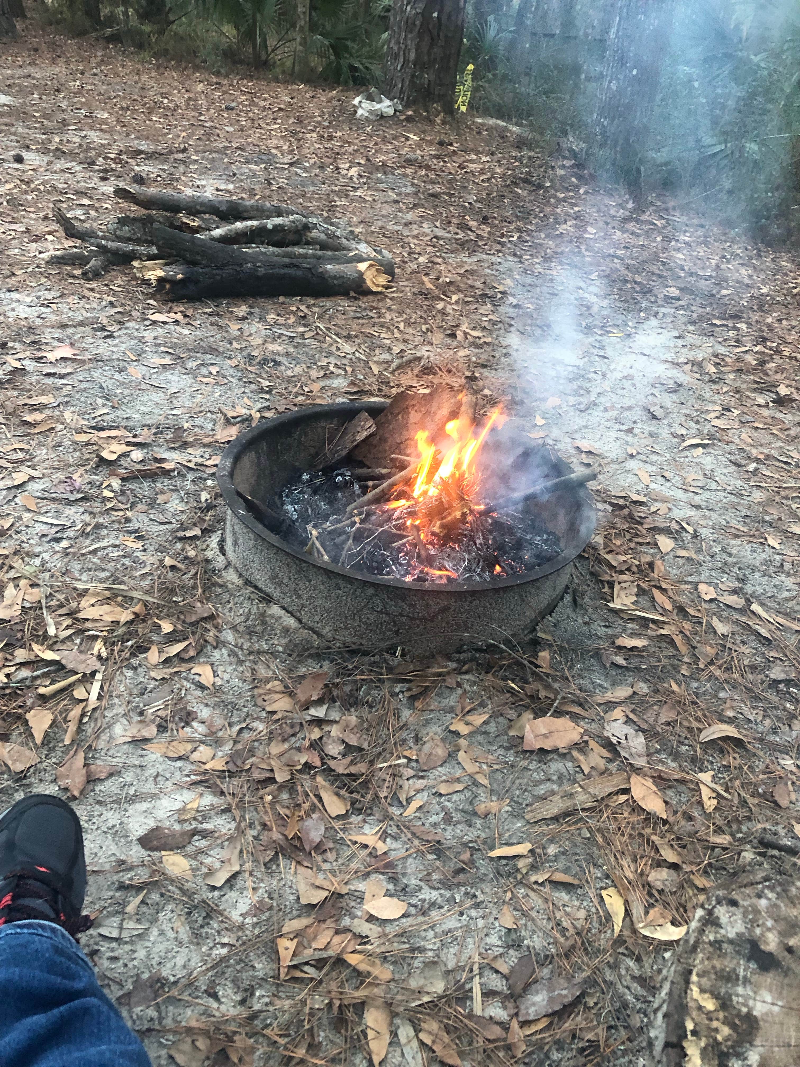 Camper-submitted photo at Newport Park Campground near Tallahassee, FL