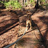 Review photo of Ocean Pond Campground by PIXIE B., January 26, 2026