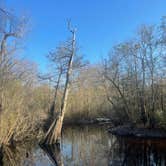 Review photo of Pine Log State Forest Primitive Campsites by Greg M., March 31, 2026