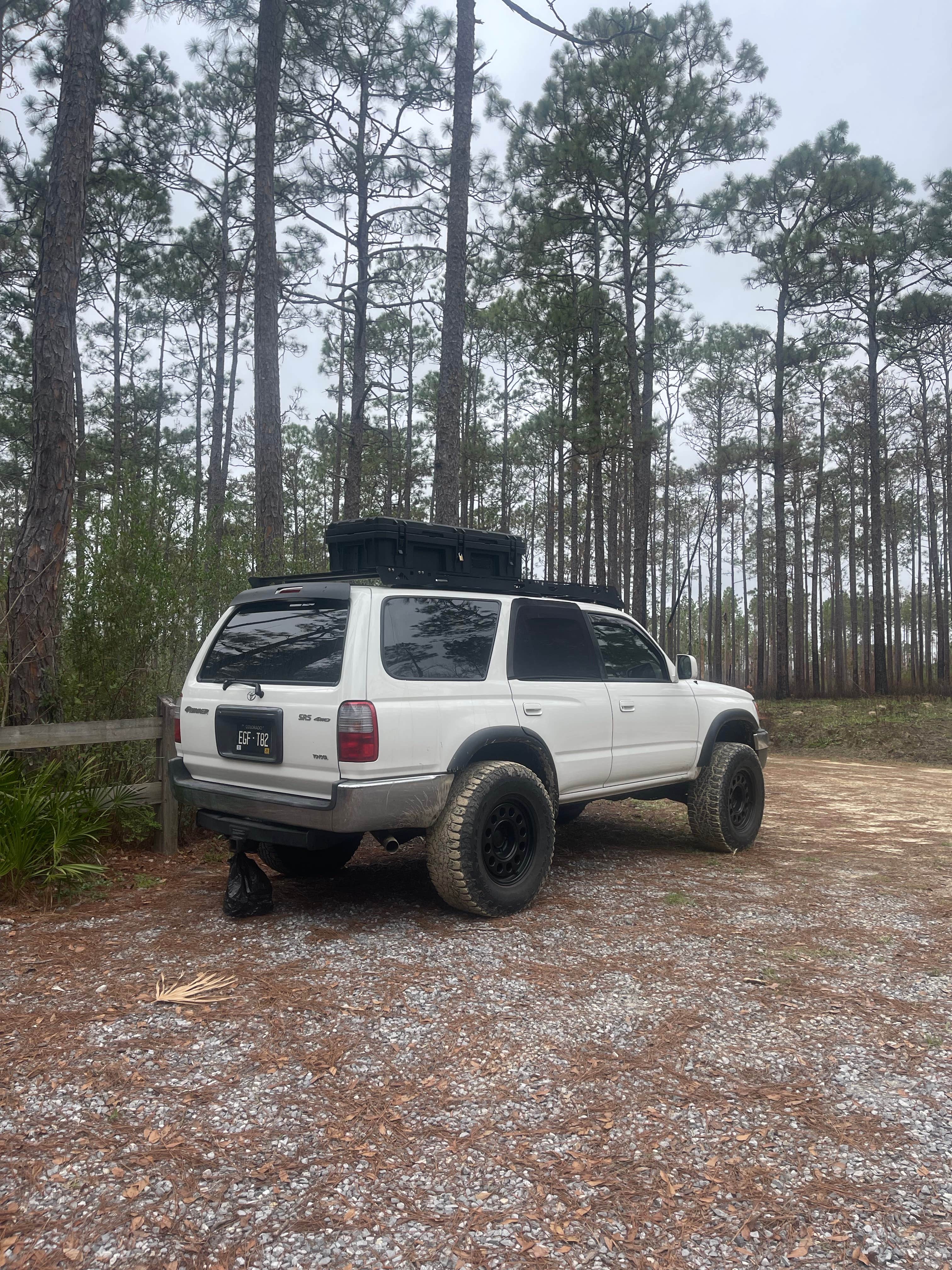 Camper-submitted photo at Pine Log State Forest Primitive Campsites near Panama City Beach, FL