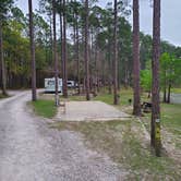 Review photo of Sand Pond Campground - Pine Log State Forest by Eric R., March 26, 2024