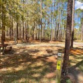 Review photo of Sand Pond Campground — Pine Log State Forest by Eric R., March 17, 2025
