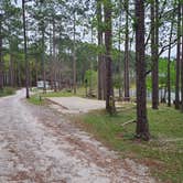 Review photo of Sand Pond Campground - Pine Log State Forest by Eric R., March 26, 2024